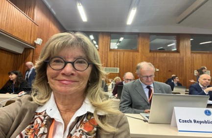 Slika 1. prof. dr. sc. Adriana Vince, dr.med. na radnom sastanku